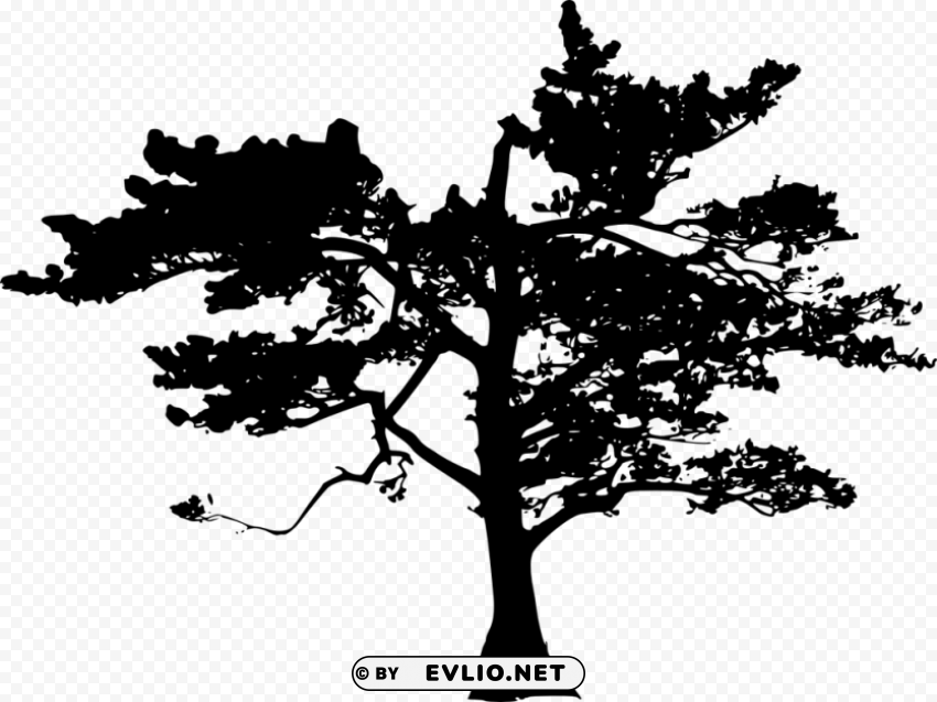 Transparent tree silhouette HighQuality Transparent PNG Isolated Art PNG Image - ID 789244c8