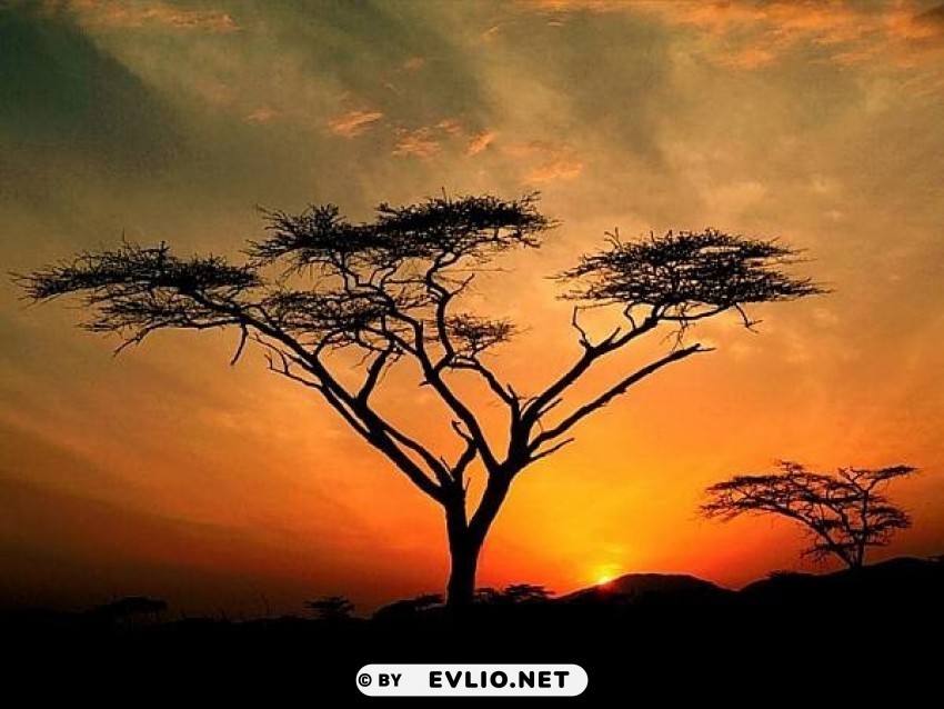 african-sunset PNG Image with Isolated Subject