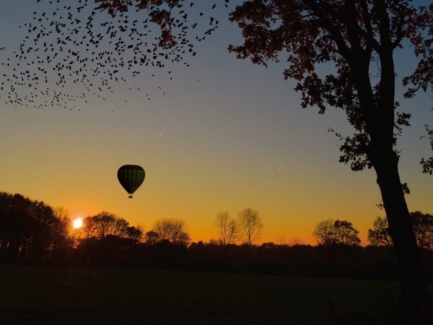 air balloon aerostat tree sunset foliage horizon Transparent PNG Isolated Graphic Element