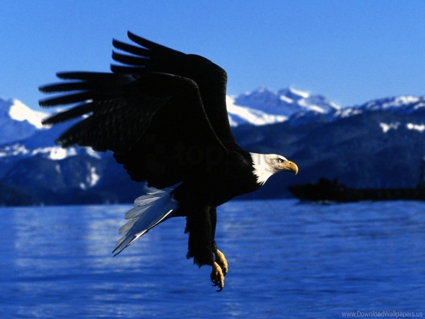 alaska easy landing wallpaper Free PNG images with alpha channel