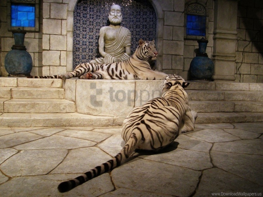 albinos room statues tigers wallpaper PNG images without restrictions