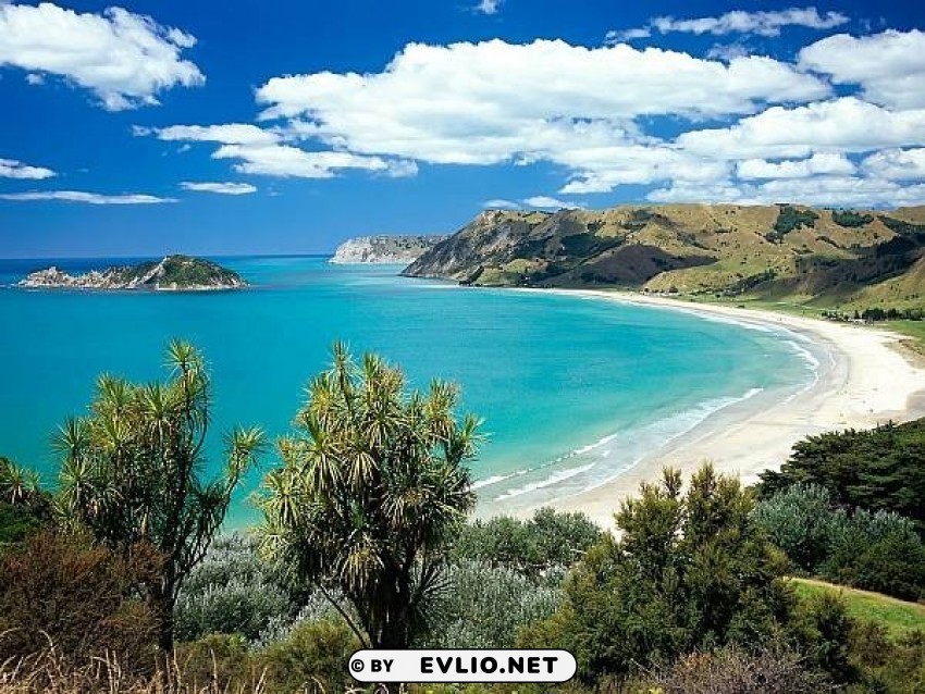 anaura bay new zealand PNG with transparent background free