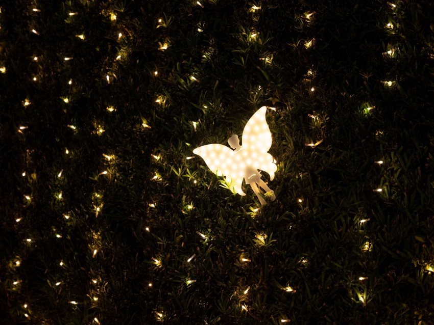 angel garland light backlight dark decoration Transparent background PNG clipart 4k wallpaper