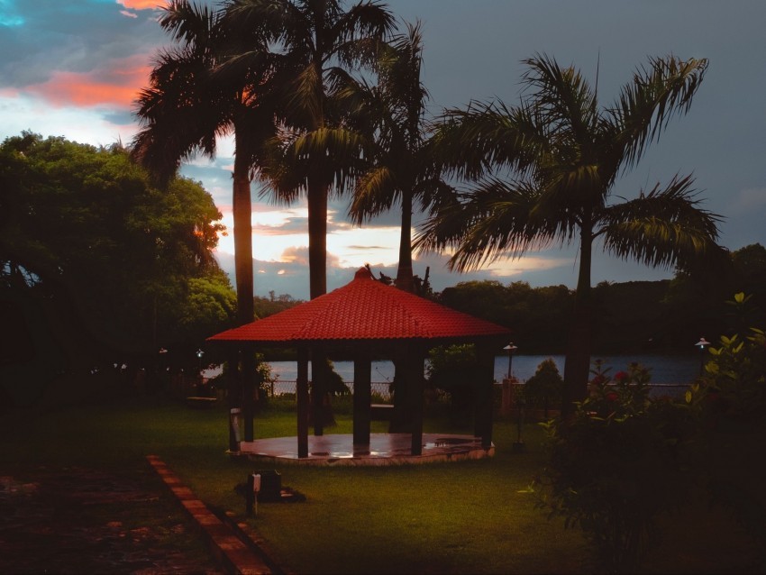 arbor palm trees sunset sky tropics HighResolution Isolated PNG Image