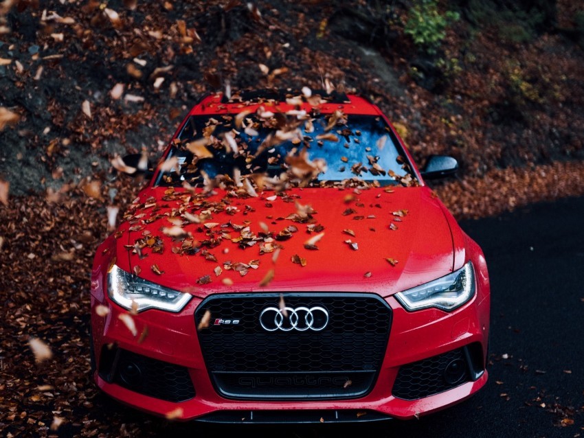 audi car front view red bumper foliage autumn Isolated Artwork on Transparent PNG