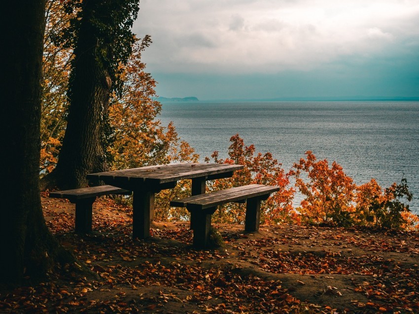 autumn benches table sea shore trees foliage PNG files with no royalties 4k wallpaper