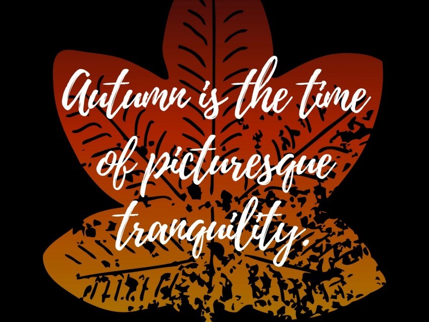 autumn tranquility quote inscription leaf PNG images free 4k wallpaper