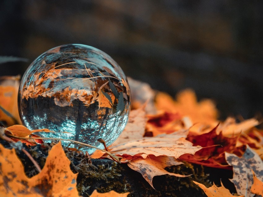 ball glass autumn foliage reflection PNG Image with Clear Background Isolated