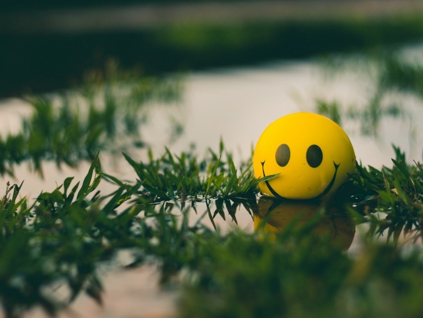 ball smile smiley grass water Clear Background PNG Isolation