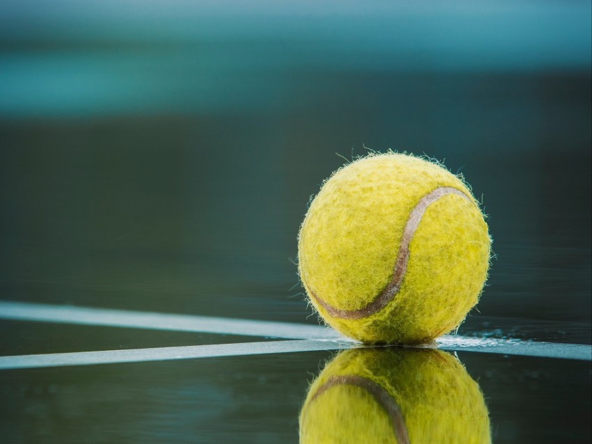 ball tennis court reflection lines marking Isolated Character in Transparent Background PNG