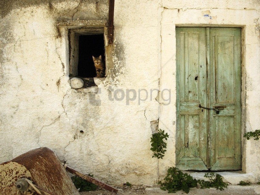 barn cat door look out wallpaper PNG images with alpha channel selection