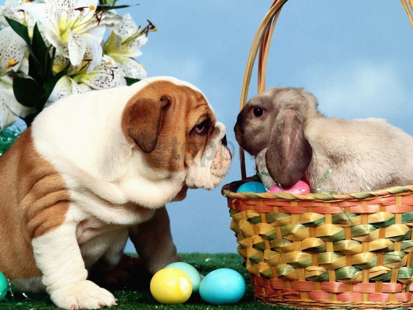 basket dog easter eggs rabbit wallpaper PNG transparent graphics comprehensive assortment