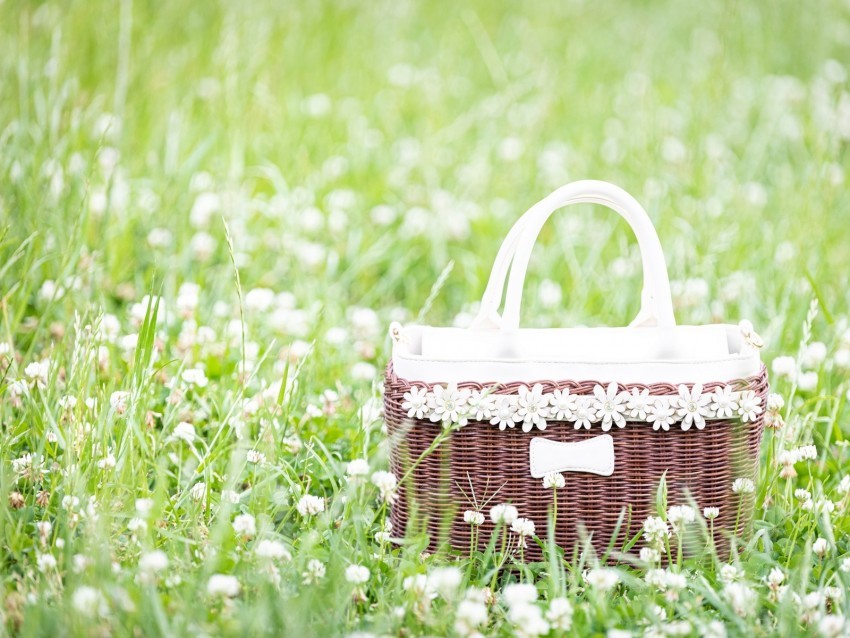 basket flowers grass field meadow High-resolution transparent PNG images comprehensive assortment