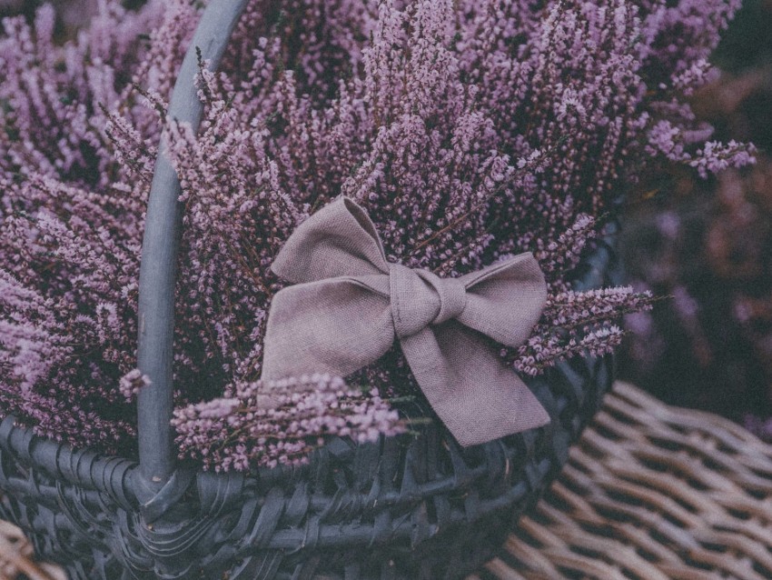 basket lavender flowers purple bow Isolated Character in Transparent Background PNG