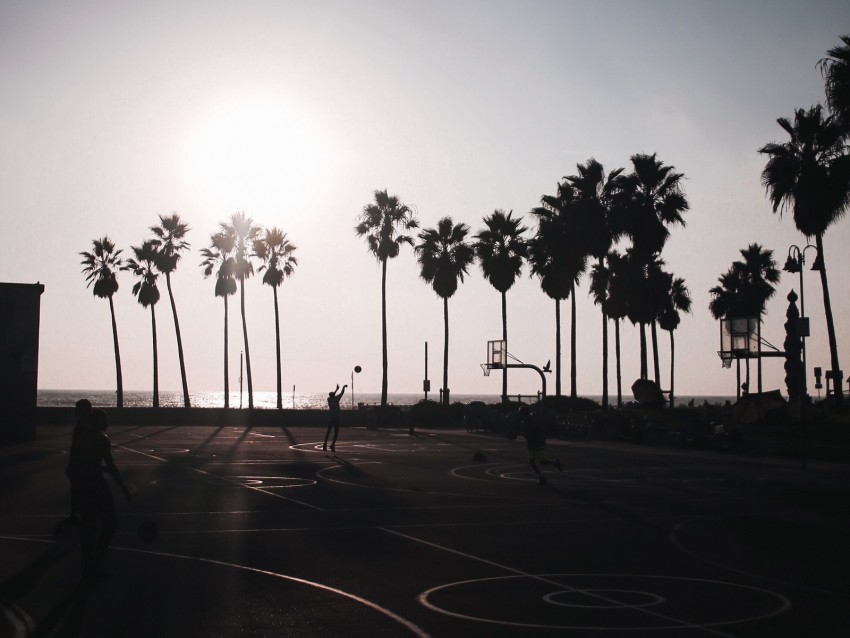 basketball playground dark silhouettes palm trees sun Transparent PNG Isolated Subject Matter