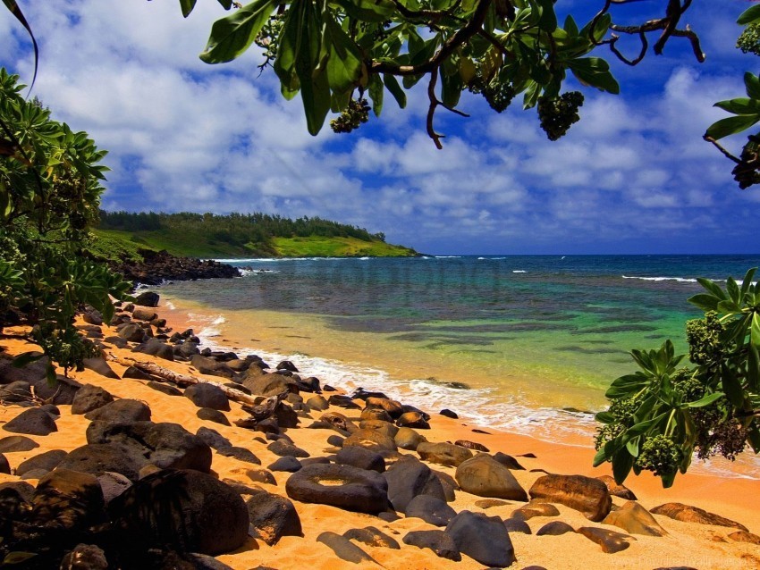 beach hawaii shade wallpaper PNG files with no backdrop required