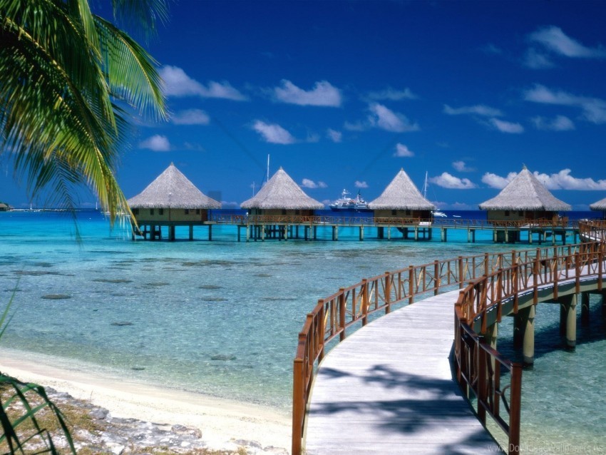 beach paradise walkway wallpaper PNG Graphic Isolated with Transparency