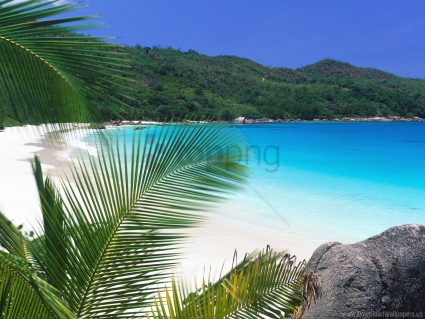 beach retreat tropical wallpaper PNG format with no background
