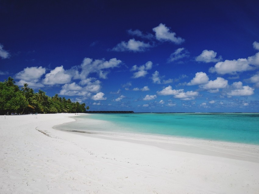 beach sand palm island tropical maldives PNG Image with Clear Background Isolation