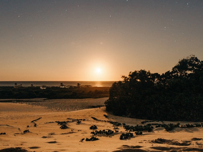 beach sand sunset twilight sun horizon bushes PNG Image with Isolated Graphic