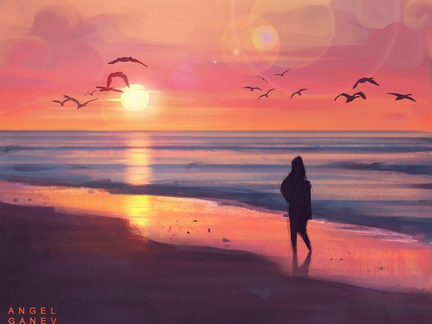 beach sunset silhouette art sea birds PNG transparent design bundle 4k wallpaper