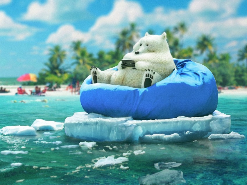 bear phone funny ice beach PNG files with no background free 4k wallpaper