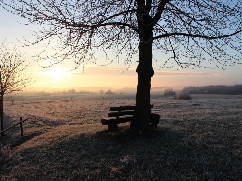 bench dawn frost winter solitude silence HighResolution PNG Isolated Artwork