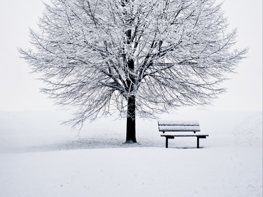 bench snow winter wood minimalism Isolated Item on HighQuality PNG