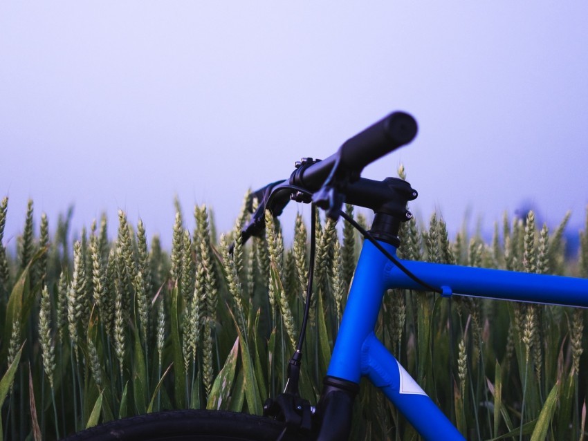 bike ears steering wheel sky Free download PNG images with alpha transparency