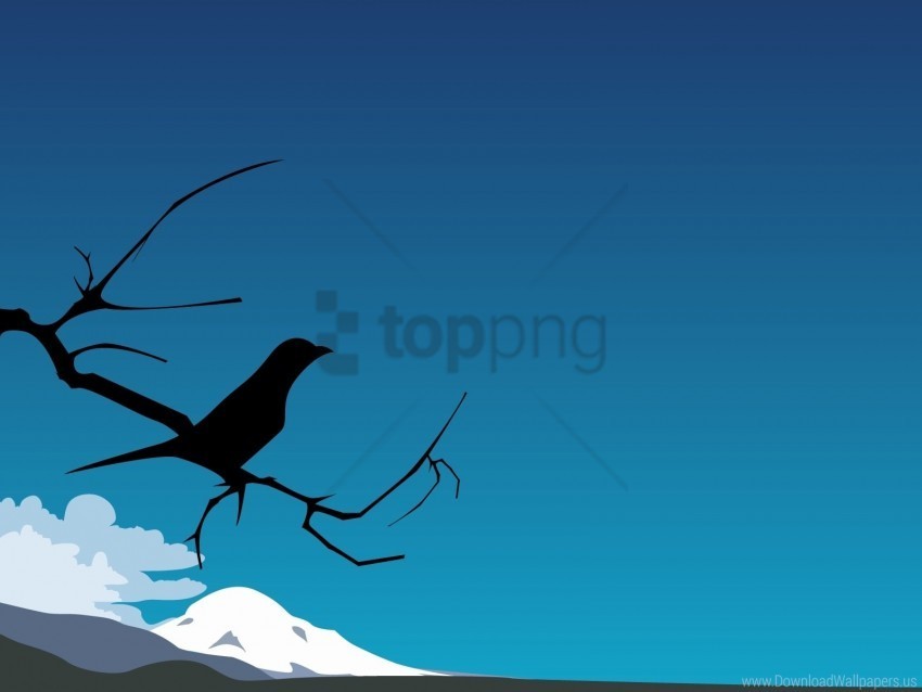 bird branch clouds silhouette sky wallpaper PNG transparent photos assortment
