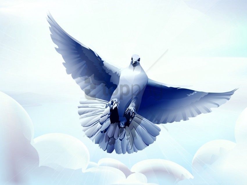 bird dove flying vector wallpaper PNG Graphic with Transparency Isolation