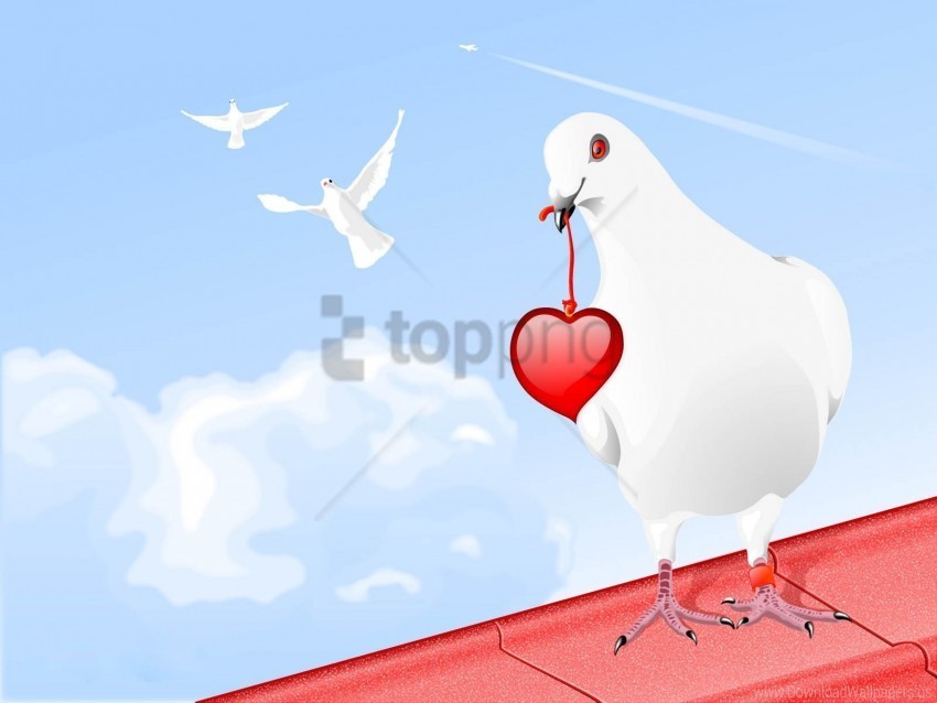 birds hearts paint pigeon wallpaper PNG with no background free download