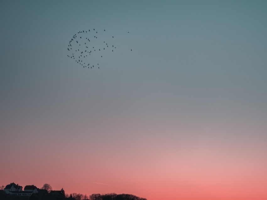 birds sky flight flock Transparent background PNG stockpile assortment