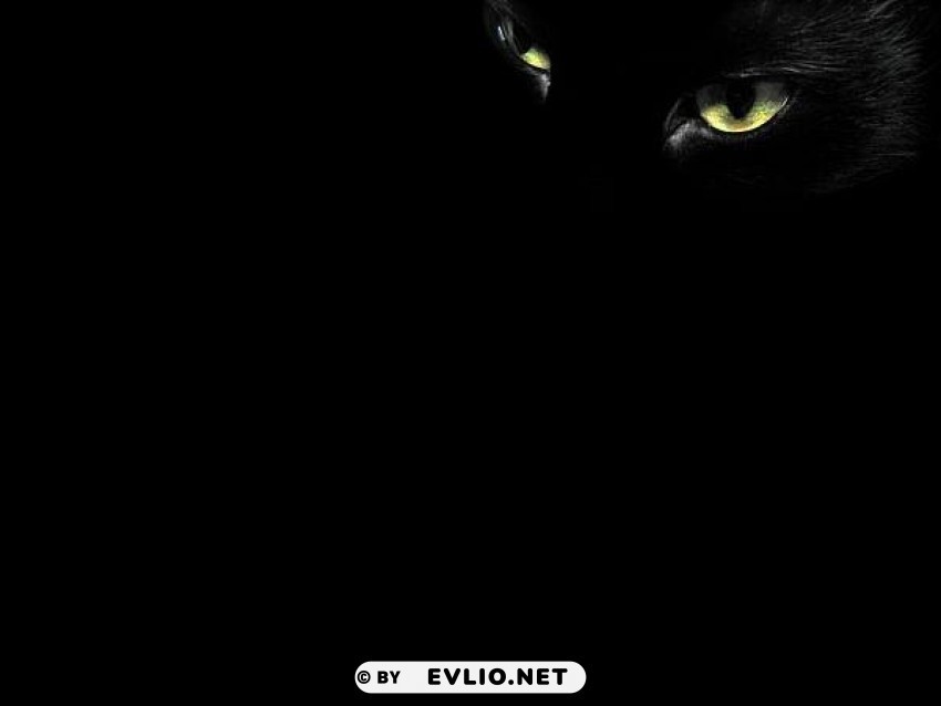 black-cat-eyes PNG with no bg