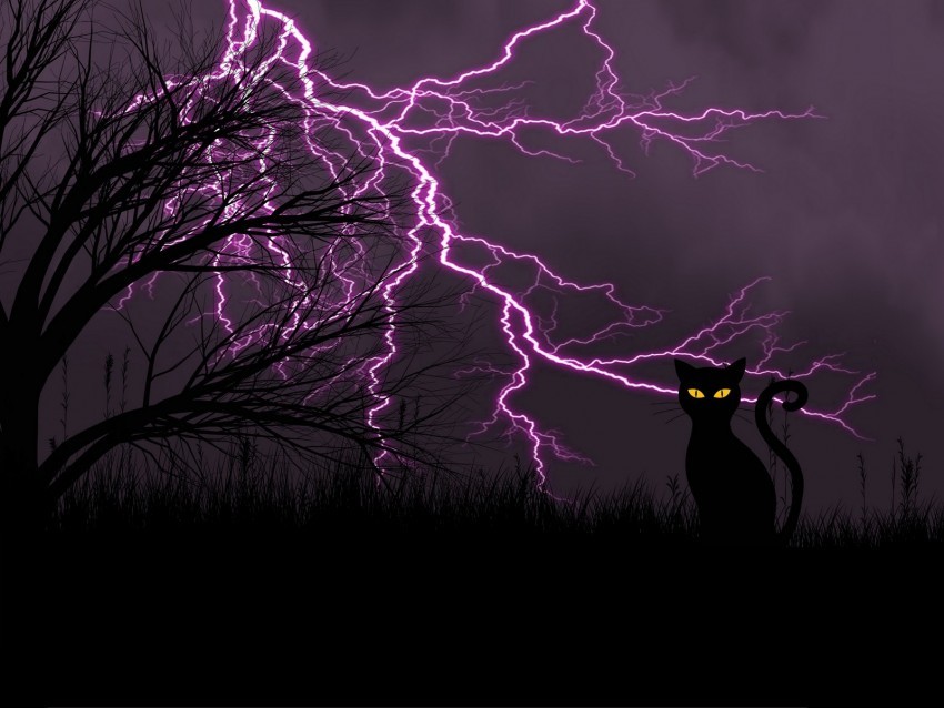 black cat lightning grass night Transparent art PNG 4k wallpaper