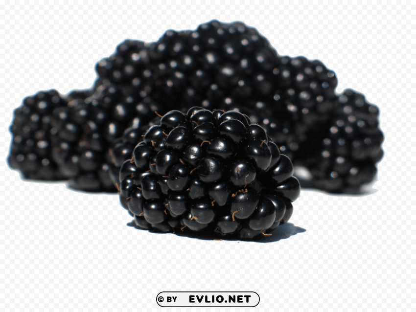 blackberry Transparent PNG Isolated Item