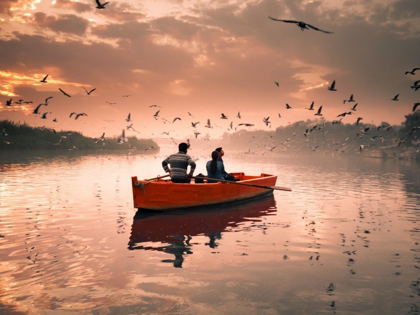 boat river birds walk sky clouds seagulls Transparent PNG images pack 4k wallpaper
