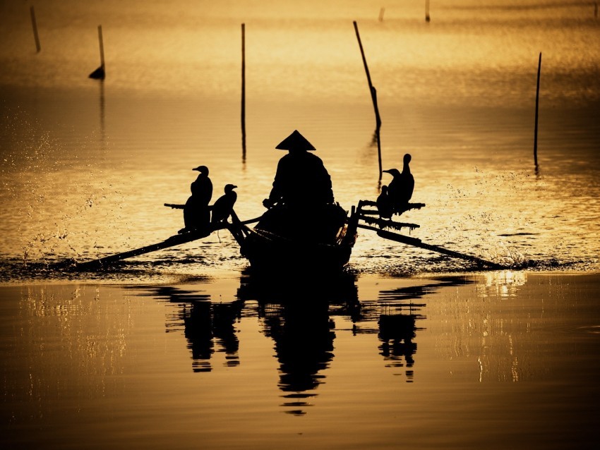 boat silhouette dark river oars birds reflection PNG Image with Isolated Subject