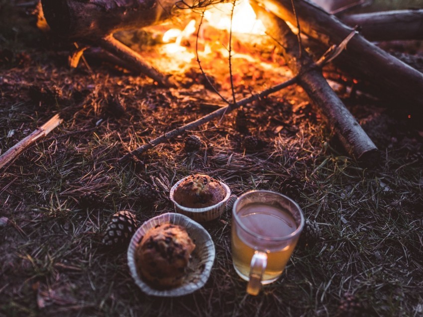 bonfire cup cupcakes tea nature PNG file without watermark 4k wallpaper