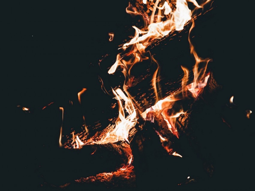bonfire fire flame firewood dark camping burning PNG Graphic Isolated with Clarity