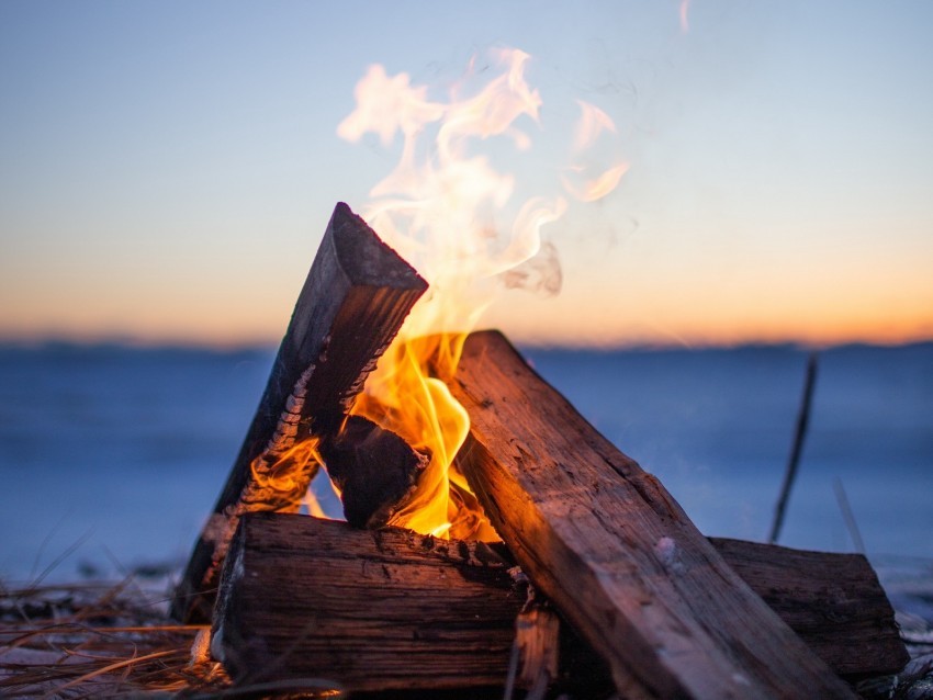 bonfire firewood fire flame camping evening PNG transparent backgrounds