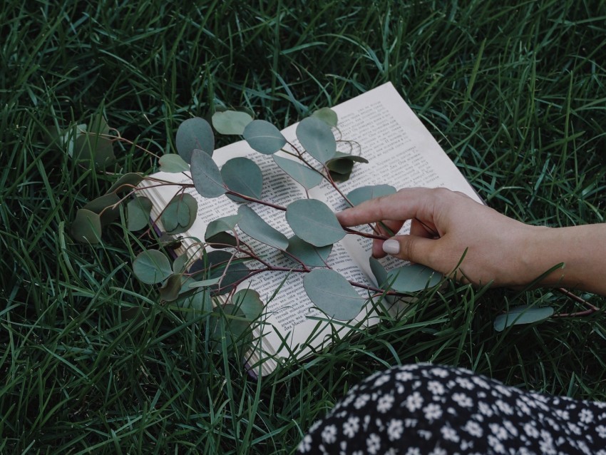 book branch hand grass lawn Clear Background PNG Isolated Element Detail