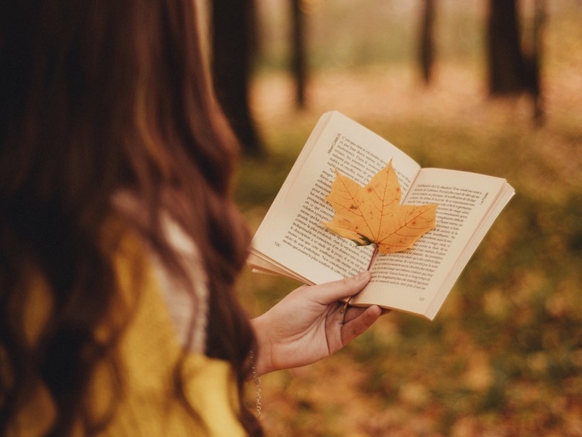 book leaf hand autumn blur Isolated Object on Clear Background PNG