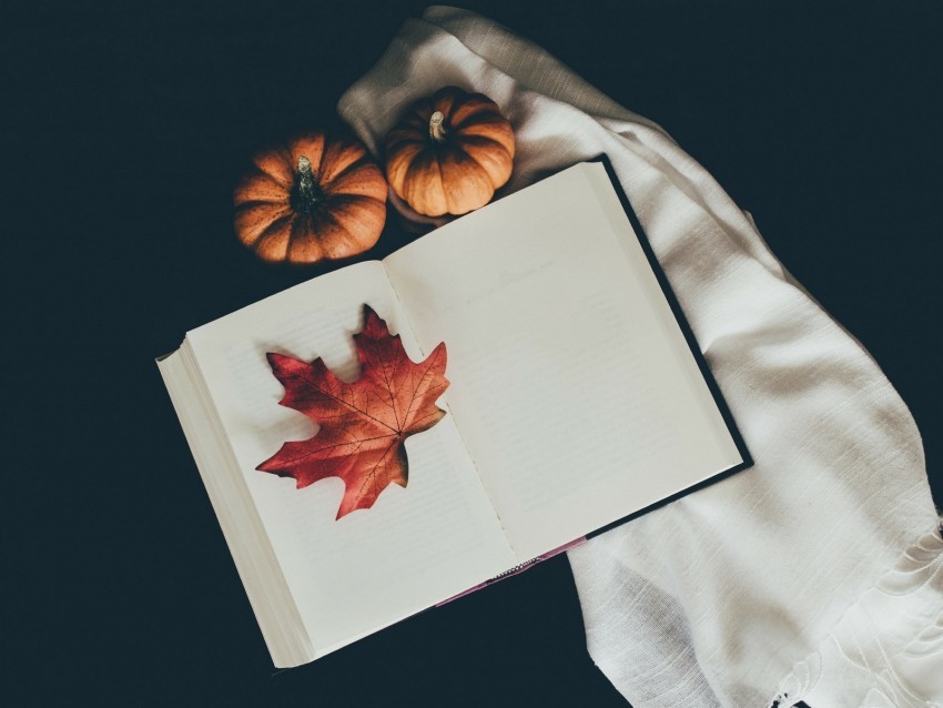book leaf pumpkin scarf autumn Isolated Graphic with Clear Background PNG