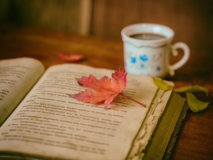 book leaves cup autumn comfort reading coffee Transparent PNG graphics complete collection 4k wallpaper