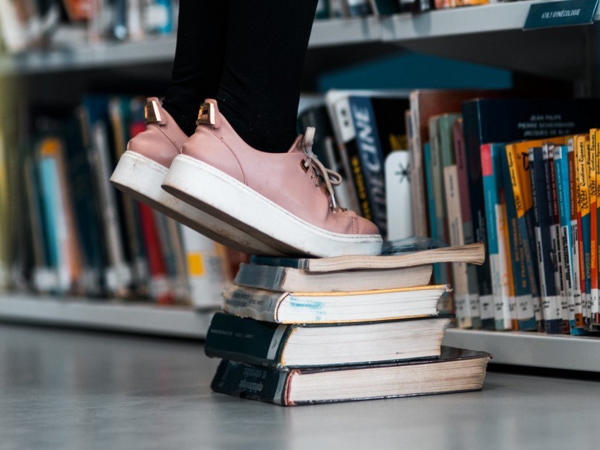 books legs bookcase bookshelves library Isolated Character in Transparent PNG