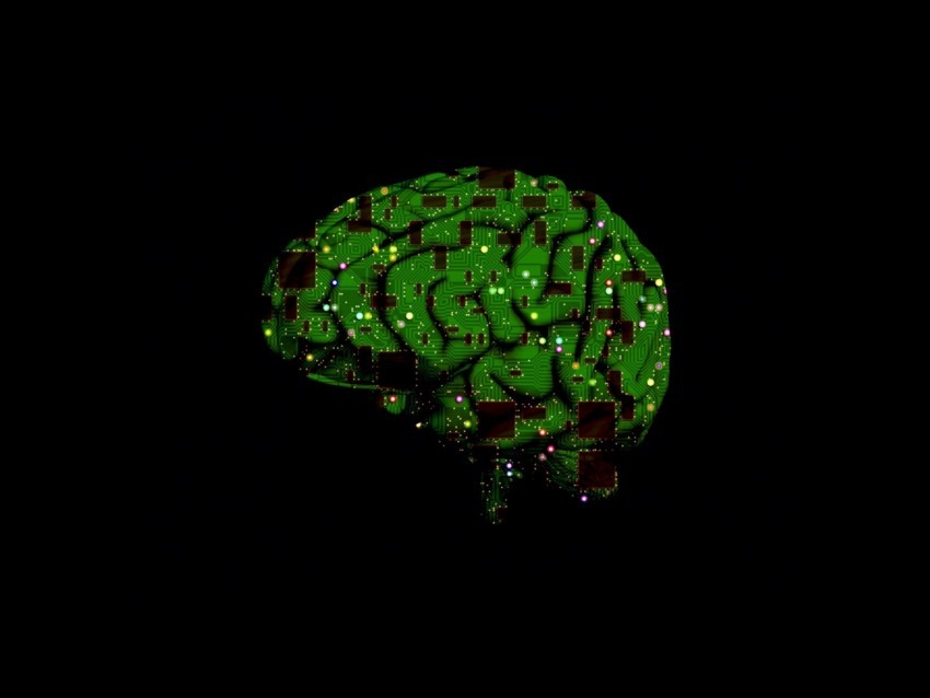brain microchip circuits artificial intelligence PNG Image Isolated on Clear Backdrop 4k wallpaper