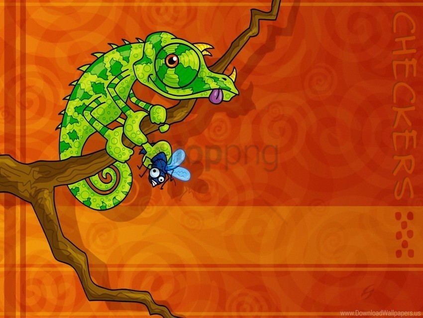 branch chameleon green reptile sit wallpaper PNG transparent elements package