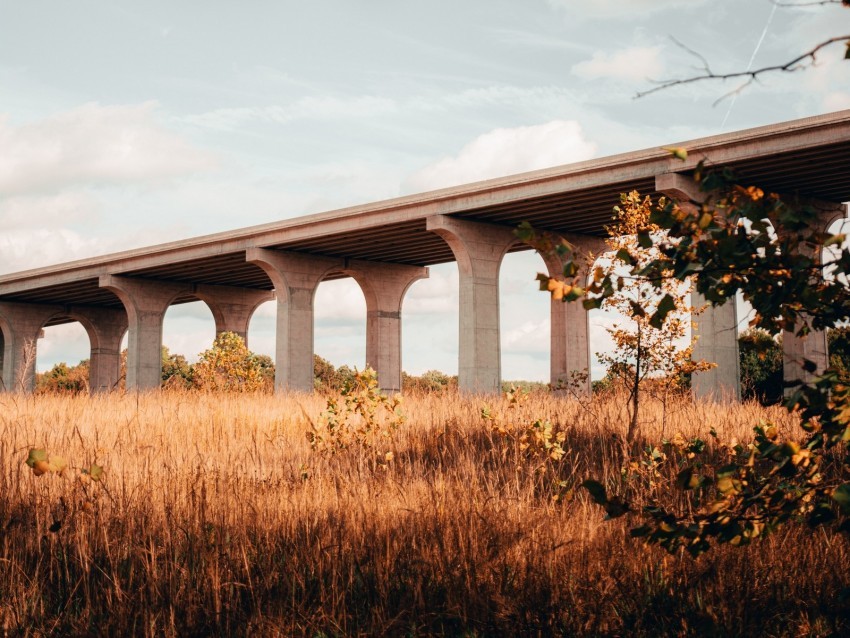 bridge construction architecture grass tree PNG Image with Transparent Isolated Design