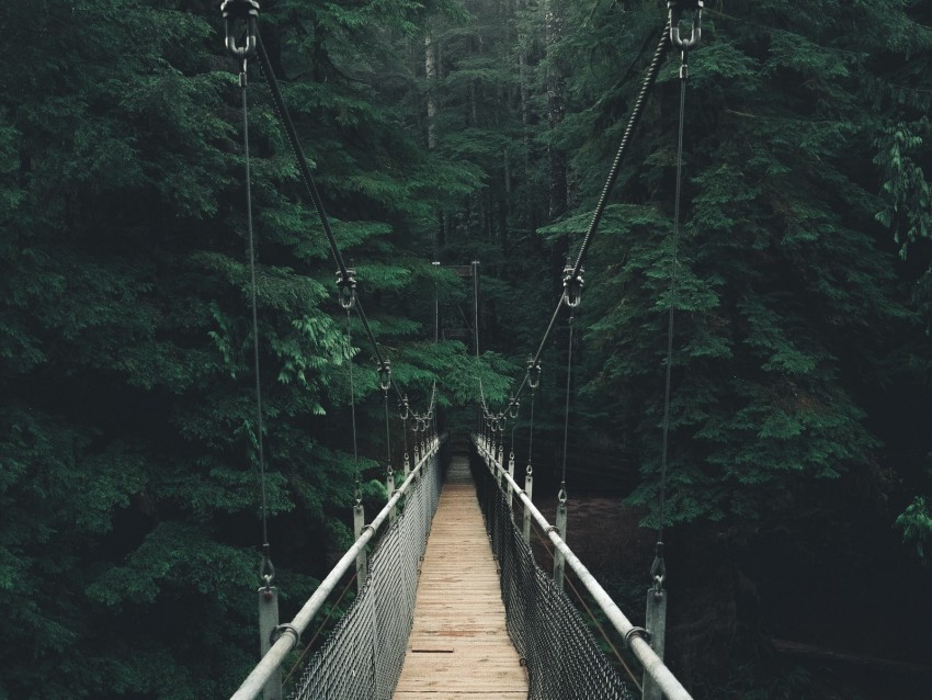 bridge forest fog suspension bridge rope bridge Transparent PNG images extensive variety